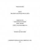 ENSAYO CASO DOE RUN, PERÚ EN LA OROYA