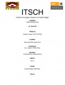 Ensayo - Comportamiento Organizacional