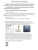 ELECCION DEL REMACHE