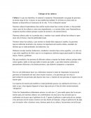 Ensayo sobre el Enfoque de las culturas