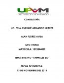 ENSAYO “ANIMALES SA”