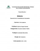 Desarrollo de la Contabilidad de Sociedades