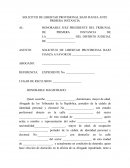 SOLICITUD DE LIBERTAD PROVISIONAL BAJO FIANZA ANTE PRIMERA INSTANCIA