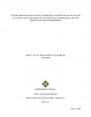 ESTUDIO HIDROGEOLÓGICO PARA DETERMINAR LA POSIBILIDAD DE ABASTECER EL ACUEDUCTO DEL MUNICIPIO DE GACHANCIPA (CUNDINAMARCA