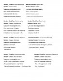 Nombres cientificos de las plantas