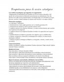 Competencias para la acción estratégica