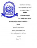 Articulación escapulotorácica