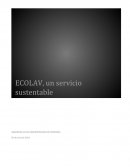 Ecolav un servicio sustentable
