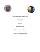 Beneficios de la actividad física por medio del voleibol: