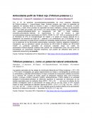 Antioxidante perfil de Trébol rojo (Trifolium pratense L.)