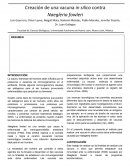 Inmunidad ante la enfermedad (PAM)