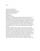 Solucion de Caso BIKOR, S.A