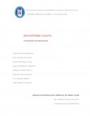 ITM PLATFORM vs KALYA Comparativo de Prestaciones