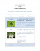 Fichas de caracterización agentes dañinos y benéficos