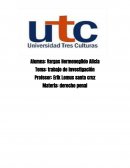 Trabajo de investigación Materia: derecho penal