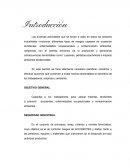 Seguridad Industrial. PROGRAMA DE HIGIENE Y SEGURIDAD INDUSTRIAL