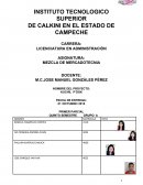 Caso La empresa “Kuchil Po´ok” (lugar de sombreros)