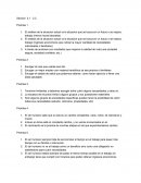 Premisas planificacion