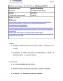 Evidencia 1 Principios de microeconomía