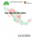 Las regiones del sabor
