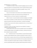 DESCRIPCIÓN DE LA ALTERNATIVA