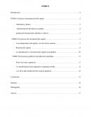 El libro “EL CAPITAL”