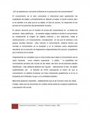 La experiencia como bvase para hallar el conocimiento