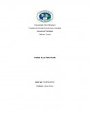 COMO SON LOS ANÁLISIS SOBRE LA PIEDRA CUECA