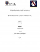 Descubrimiento de la Penicilina. Metodología