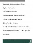 Administracion estrategica ¿Por qué esa estructura?