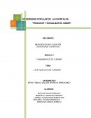 ¿Por qué se hace Turismo?