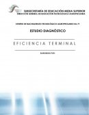 EFICIENCIA TERMINAL: SUBSECRETARÍA DE EDUCACIÓN MEDIA SUPERIOR