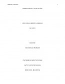 Medición y evaluación Tarea #5