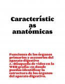 Funciones de los órganos