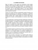 EL CEREBRO NOS ENGAÑA.