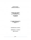 METODO RAVEOR: DISEÑO DE UN PRODUCTO