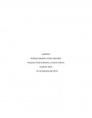 Proceso sistemático para obtener y evaluar de manera objetiva las evidencias relacionadas con informes sobre actividades económicas y no económicas y entregar una opinión.