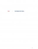 CONTAMINACION VISUAL EN LA SOCIEDAD DE LIMA