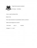 Ensayo relacionado a la escuela italiana, alemana y americana