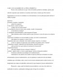 CASO: LOS CAZADORES EN LA ÉPOCA PRIMITIVA