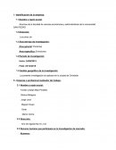 ¿ Cuál es el grado de aceptación de un servicio de transporte otorgado por la universidad?