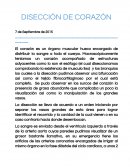 Diseccion de corazon 7 de Septiembre de 2015