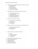 ¿cómo calificados en sus puestos de trabajo son los miembros de su equipo?