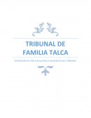 EXPOSICIÓN DE VISITA REALIZADA A AUDIENCIAS DEL TRIBUNAL