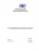 PROCESO ENFERMERO APLICADO A LA FAMILIA EN LA COMUNIDAD SANTA INES. MUNICIPIO SAN FERNANDO- ESTADO APURE