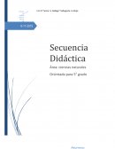 Cambios tecnológicos, complejidad del artefacto, análisis y diseño del producto.