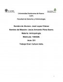 Cultura india Organización Social de la Cultura Hindú o de la India