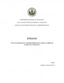 EN EL ESTADO SOCIAL LOS PRINCIPIOS DE IGUALDAD Y LIBERTAD ENTRAN EN CONFLICTO