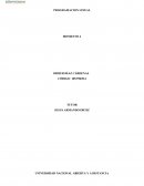 La nueva Programacion lineal col 2