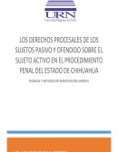 EL NUEVO ENSAYO DERECHOS PROCESALES PENALES EN CHIHUAHUA